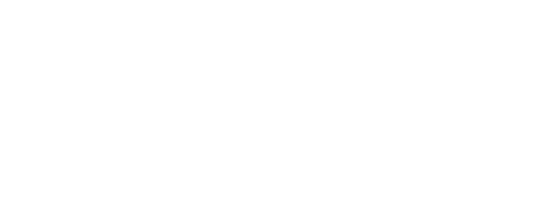 Paradise Events logo